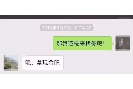 嘉善为什么选择专业追讨公司来处理您的债务纠纷？